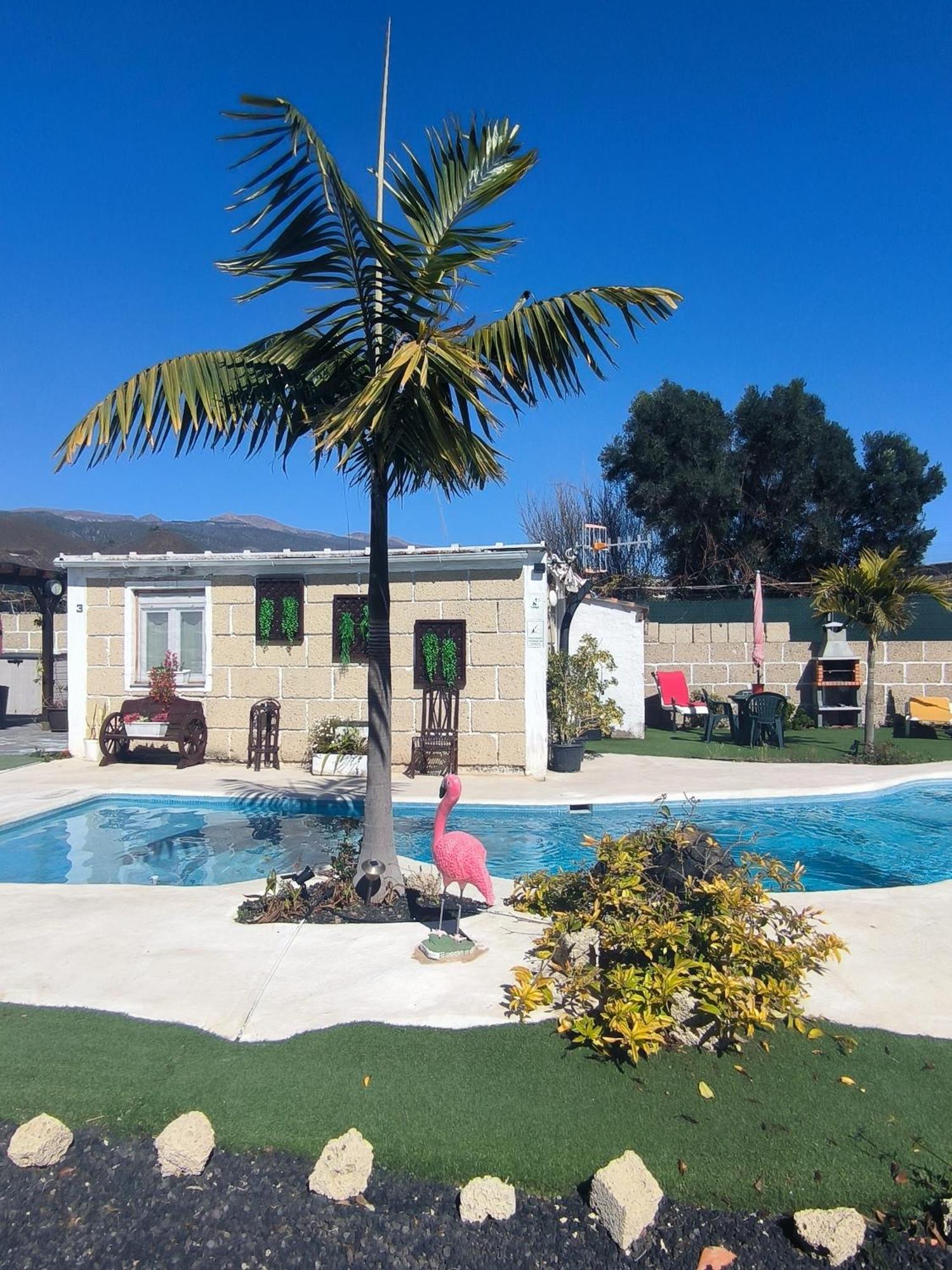 Villa Daita 2 Villa Daita 3 Granadilla de Abona Kültér fotó